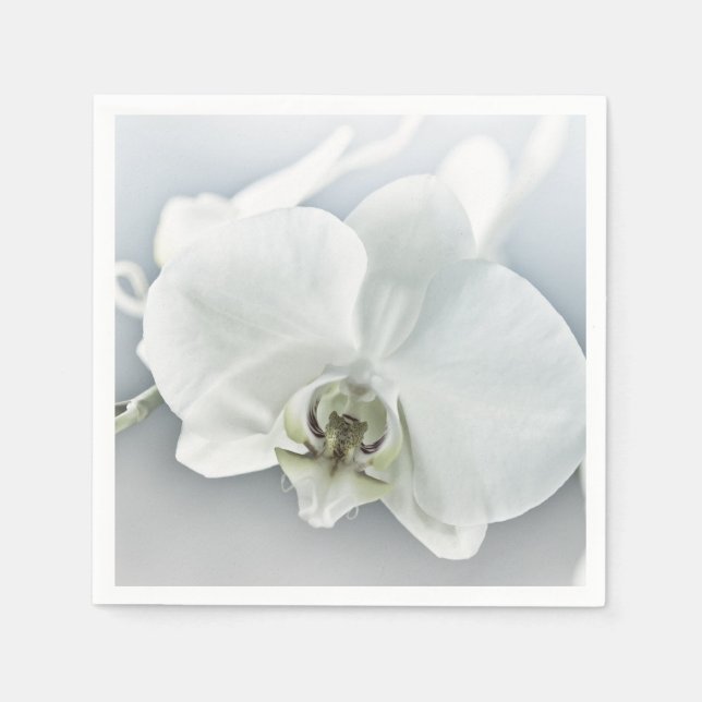 White Phaleonopsis Orchid Napkin (Front)
