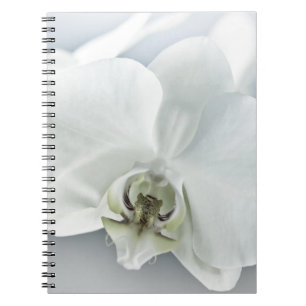 White Phaleonopsis Orchid Notebook
