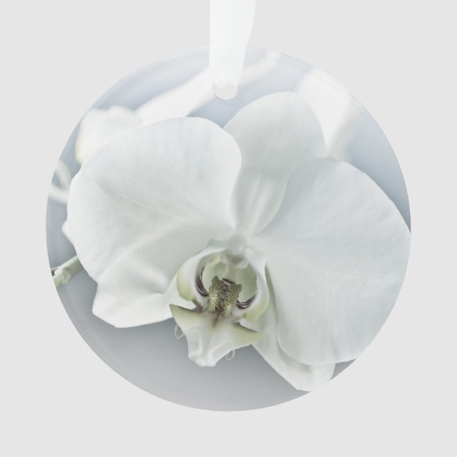 White Phaleonopsis Orchid Ornament (Front)