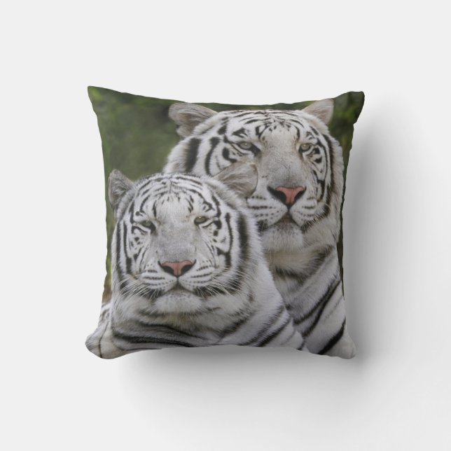 White phase, Bengal Tiger, Tigris Cushion (Front)