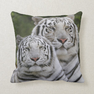 White phase, Bengal Tiger, Tigris Cushion