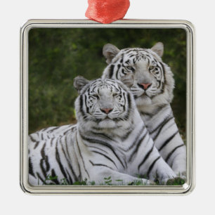 White phase, Bengal Tiger, Tigris Metal Tree Decoration