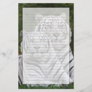 White phase, Bengal Tiger, Tigris Stationery