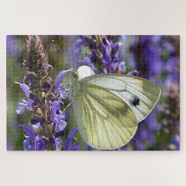 White Pieris Rapae Butterfly. Jigsaw Puzzle (Horizontal)