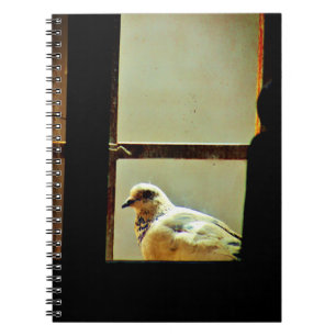 White Pigeon Notebook