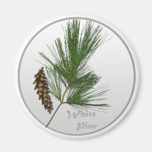 White Pine Tree Magnet