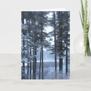 White Pines in Blue Light --- Holiday Card