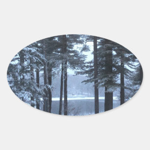 White Pines in Blue Light --- Oval Sticker