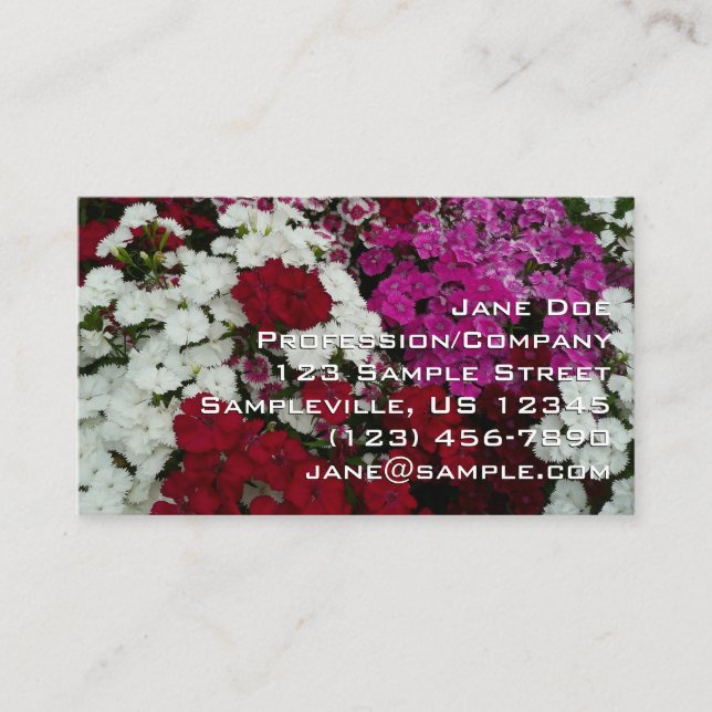White, Pink and Red Dianthus Floral Business Card (Front)