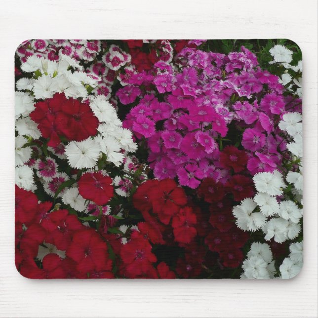 White, Pink and Red Dianthus Floral Mouse Pad (Front)