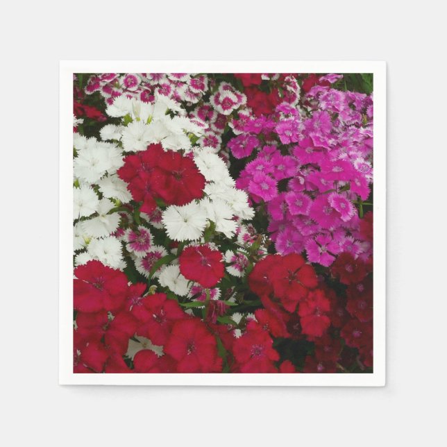 White, Pink and Red Dianthus Floral Napkin (Front)
