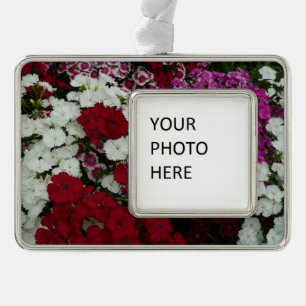 White, Pink and Red Dianthus Floral Silver Plated Framed Ornament