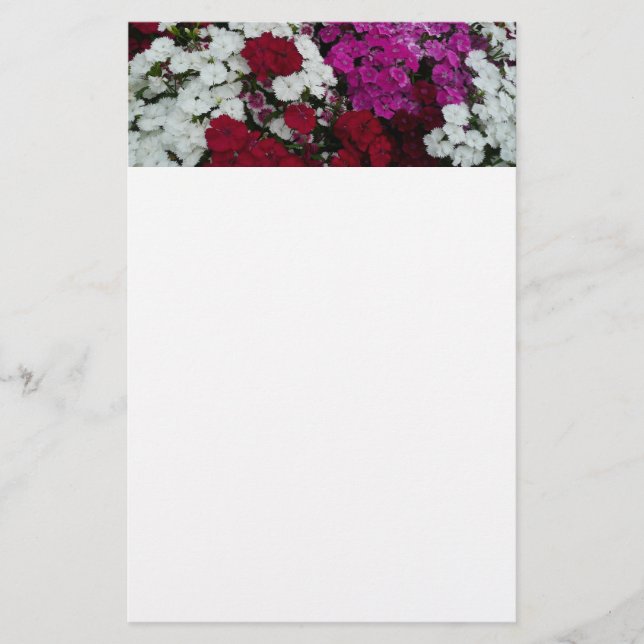 White, Pink and Red Dianthus Floral Stationery (Front)