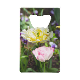 White, pink and yellow tulips in the garden