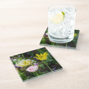 White, pink and yellow tulips in the garden glass coaster