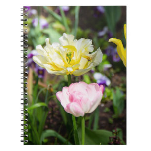 White, pink and yellow tulips in the garden notebook