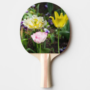 White, pink and yellow tulips in the garden ping pong paddle