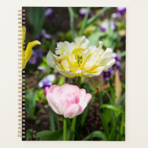White, pink and yellow tulips in the garden    planner