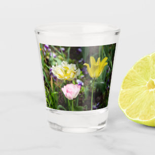 White, pink and yellow tulips in the garden    shot glass