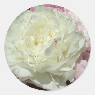 White Pink Peonies / Peony Wedding Round Stickers