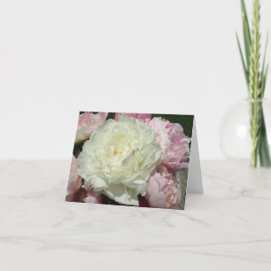 White Pink Peonies / Pink Peony Note Cards