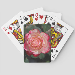 White Pink Rose Flower Floral Plant Nature Pretty Playing Cards