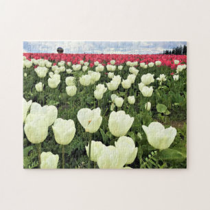 White & Pink Tulip Field, Oregon Jigsaw Puzzle