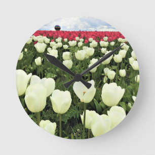 White & Pink Tulip Field, Oregon Round Clock