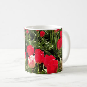 White & Pink Tulip in a Red Tulip Field, Oregon Coffee Mug