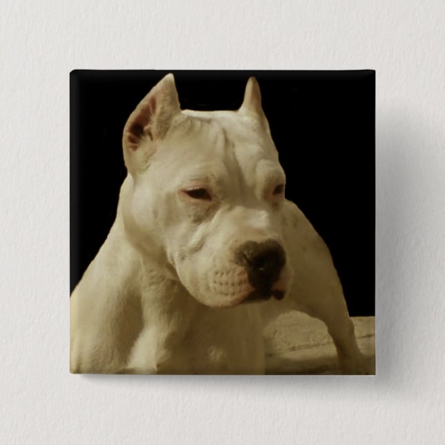 White pitbull 15 cm square badge (Front)