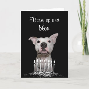 White Pitbull Birthday Card
