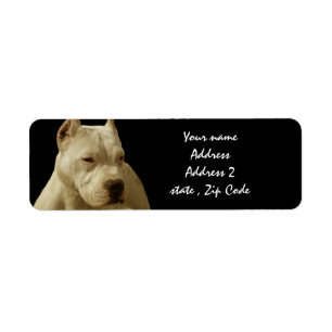 White Pitbull Terrier Return Address Label