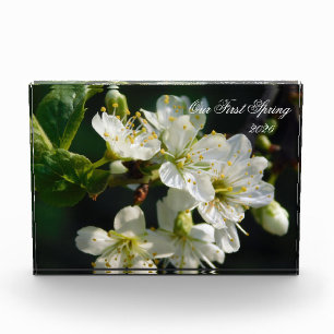 White Plum Blossom Macro   Personalized Photo Bloc Block
