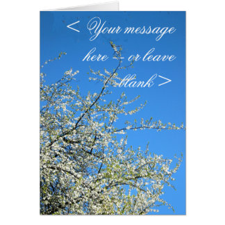 WHITE PLUM BLOSSOMS (CUSTOM)