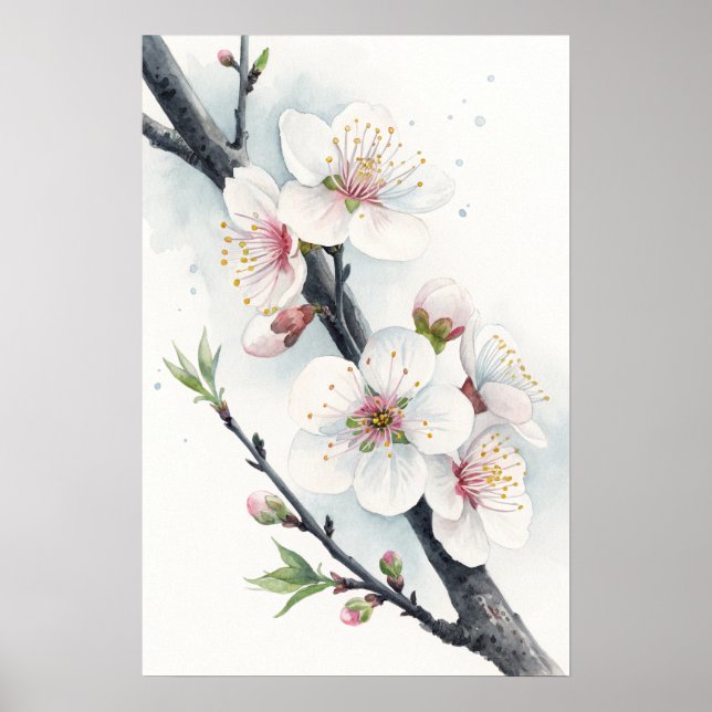 White Plum Blossoms Poster (Front)