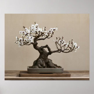 White Plum Bonsai Art Print | Japanese Wall Art