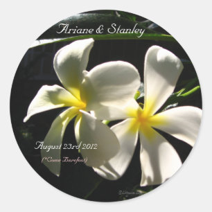 White Plumaria Tropical Flowers Envelope Seals