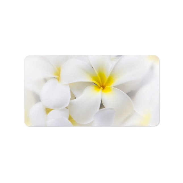 White Plumeria Flower Frangipani Floral Flowers Label (Front)