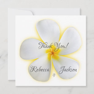 White Plumeria Flower, Yellow, Wedding, Thank You