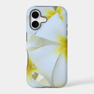 White Plumeria Flowers