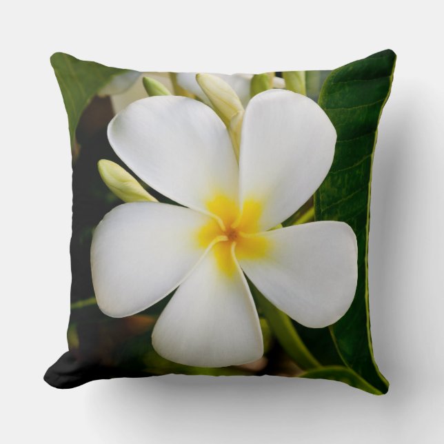 White Plumeria, Hawaii Cushion (Front)