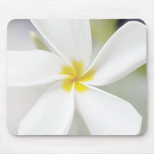 White Plumeria - Macro Portrait Mouse Pad (Front)