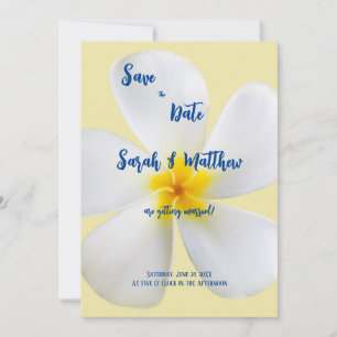 White Plumeria on Yellow, Tropical, Floral Wedding Save The Date