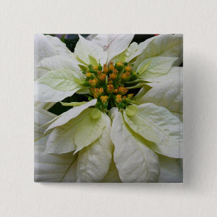 White Poinsettia Elegant Christmas Holiday Floral 15 Cm Square Badge