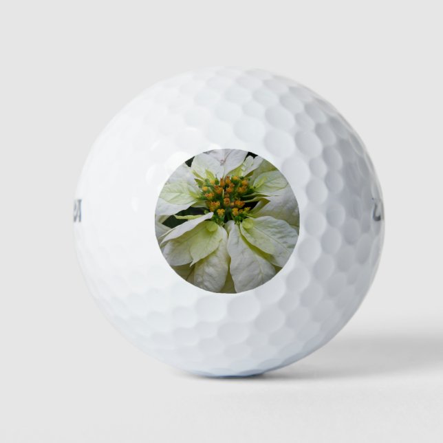 White Poinsettia Elegant Christmas Holiday Floral Golf Balls (Front)
