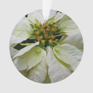 White Poinsettia Elegant Christmas Holiday Floral Ornament