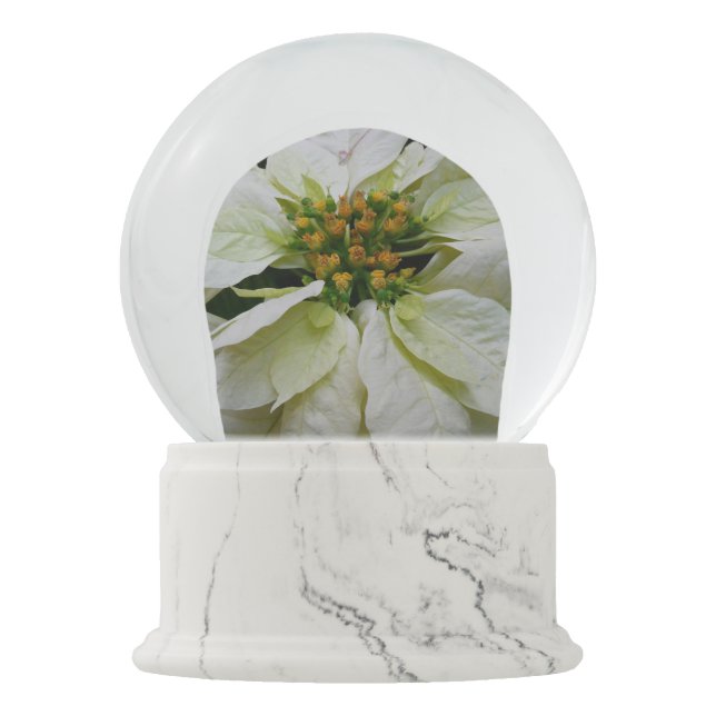 White Poinsettia Elegant Christmas Holiday Floral Snow Globe (Front)
