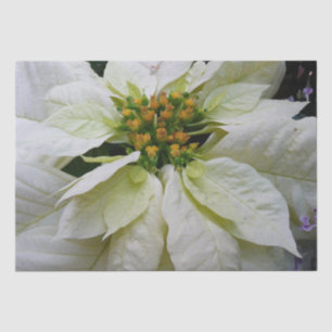 White Poinsettia Elegant Christmas Holiday Floral Tissue Paper
