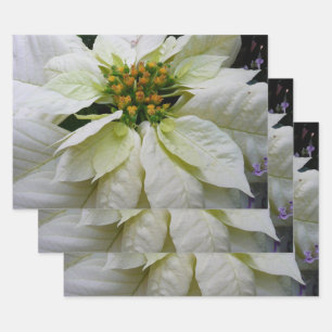 White Poinsettia Elegant Christmas Holiday Floral Wrapping Paper Sheet