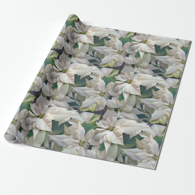 White Poinsettia Holiday Wrapping Paper (Unrolled)